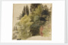A study of trees in the grounds at Merton Place by Thomas Baxter