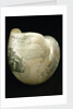 Engraved nautilus shell commemorating Nelson's victories by C. H. Wood
