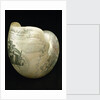 Engraved nautilus shell commemorating Nelson's victories by C. H. Wood