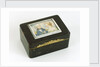 A tortoiseshell box with gilt mounts and a hinged lid by Unknown