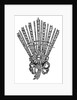 Nelson's chelengk presented by Sultan Selim III of Turkey by unknown