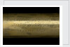 Pocket telescope - draw tube inscription by George Rossi