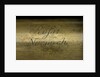 Pocket telescope - draw tube inscription by George Rossi