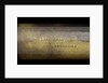 Pocket telescope - draw tube inscription by W. Callaghan