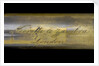 Pocket telescope - draw tube inscription by Negretti & Zambra