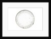 Pocket telescope - objective lens inscription by Franciscus Sansedonius