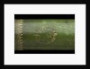 Pocket telescope - draw tube inscription by Hamel
