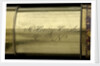 Day or night telescope - inscription by JONES