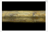 Polygonal telescope - inscription by James Ayscough