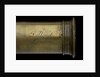 Polygonal telescope- draw tube inscription by Dollond