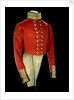 Coatee, Royal Marines uniform: pattern 1830 by unknown