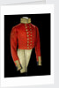 Coatee, Royal Marines uniform: pattern 1830 by unknown