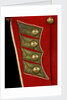 Coatee - tail detail, Royal Marines uniform: pattern 1830 by unknown