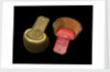 Royal Marines uniform: epaulettes by unknown