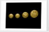 Buttons by P. & S. Firmin