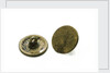 Buttons by unknown
