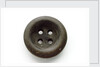 Button by unknown