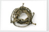 Gold cord by unknown