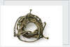 Gold cord by unknown