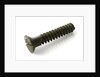 Powder keg screw plug by unknown