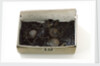 Coat fragment by unknown