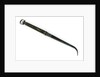 Specimen collecting tweezers by unknown