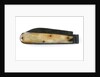 Clasp knife by unknown