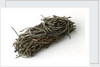 Waxed twine by unknown