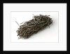 Waxed twine by unknown