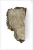New Testament - fragment by unknown