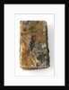 Bible - back by unknown