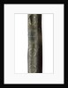 Prayer book - spine by unknown