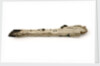 Timber fragment by unknown