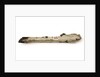 Timber fragment by unknown