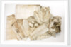 Bandages from medicine chest by unknown