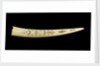 A cribbage board and two pegs, carved from a walrus tusk with a polar bear, walrus head, and three seals carved in relief by Inuit