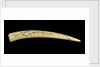 A cribbage board and two pegs, carved from a walrus tusk with a polar bear, walrus head, and three seals carved in relief by Inuit