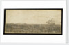 A whalebone panel engraved with a scene showing a whaling vessel in full sail on the horizon by unknown