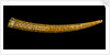 Powder horn by unknown