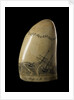 Whale tooth by unknown