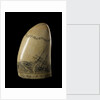 Whale tooth by unknown