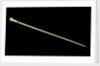 A whalebone walking stick with a brass ferule by William Tolley Brookes
