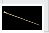 A whalebone walking stick with a brass ferule by William Tolley Brookes