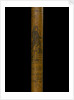 Walking stick by unknown