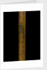Walking stick by unknown