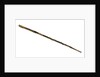 Walking stick by unknown