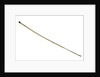 Walking stick by Unknown