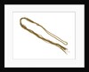 Bellrope by unknown