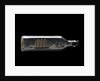 Ship model in a bottle by unknown