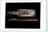 Ship model in a bottle by J. Chatterton